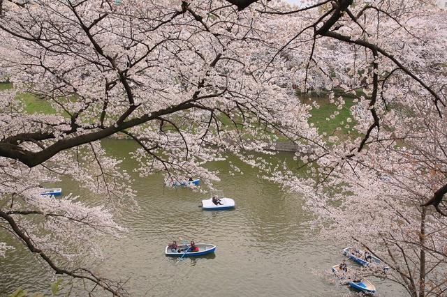 5D3_8917_2048x1365_補正済.jpg