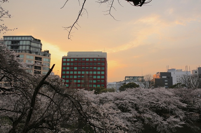 5D3_8923_2048x1365_補正済.jpg