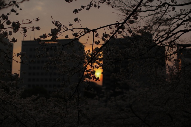 5D3_8981_2048x1365_補正済.jpg