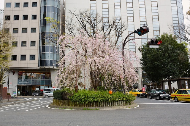 5D3_9129_2048x1365_補正済.jpg