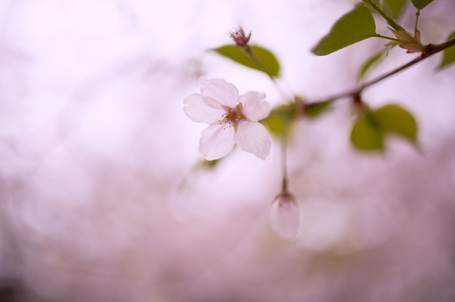 5D3_9144_2048x1365_補正済.jpg