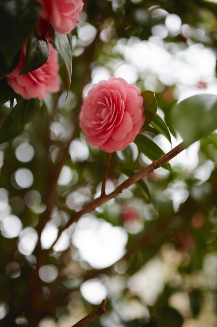 5D3_9181_2048x1365_補正済.jpg