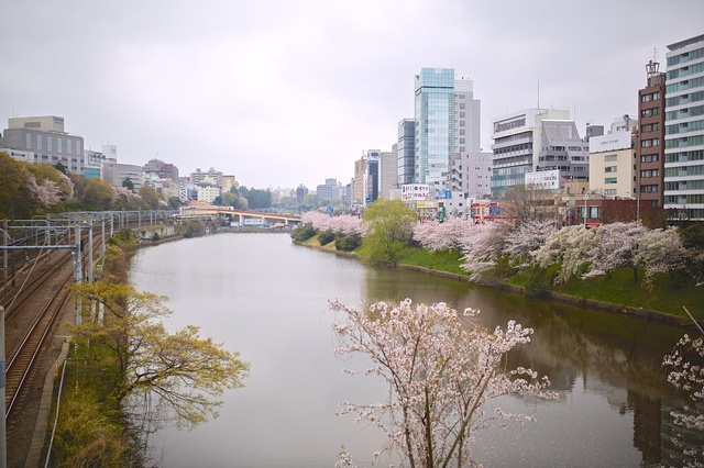 5D3_9240_2048x1365_補正済.jpg