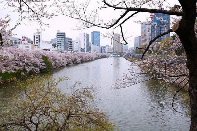 5D3_9268_2048x1365_補正済.jpg