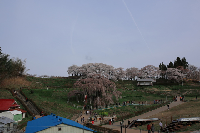 5D3_9796_2048x1365.jpg