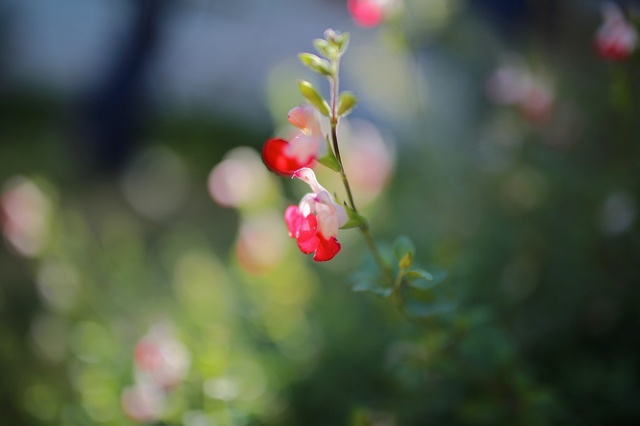 9S0A0064_2048x1365_補正済.jpg