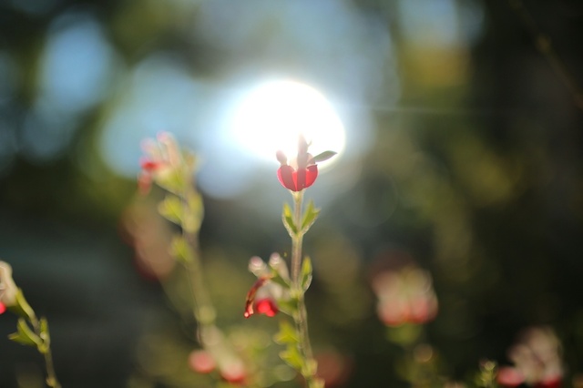 9S0A0066_2048x1365_補正済.jpg