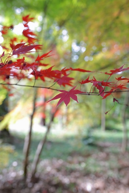 9S0A1388_2048x1365_補正済.jpg