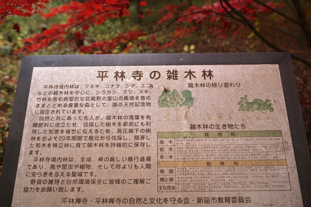 9S0A1400_2048x1365_補正済.jpg