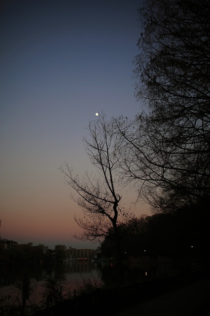 9S0A2130_2048x1536_補正済.jpg