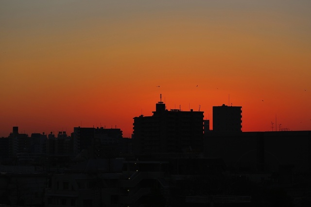 9S0A3238_2048x1365_補正済.jpg