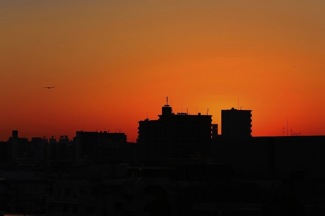 9S0A3246_2048x1365_補正済.jpg
