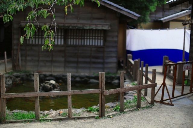 9S0A4120_1280x853_補正済.jpg