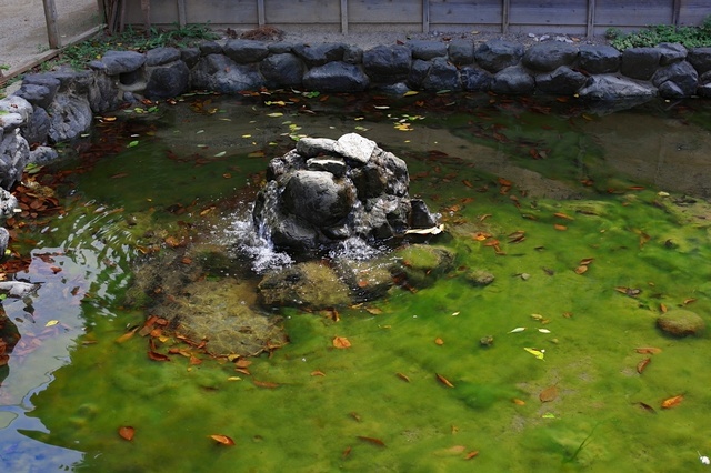 9S0A4122_1280x853_補正済.jpg