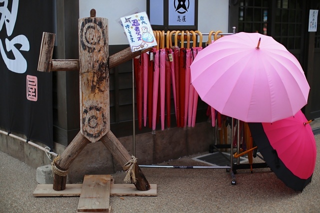 9S0A4182_1280x853_補正済.jpg