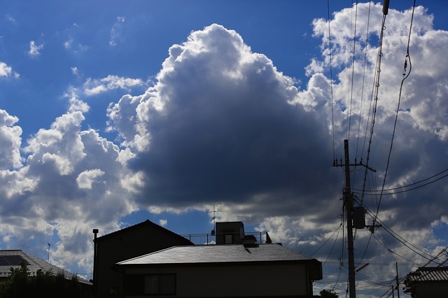 9S0A4224_1280x853_補正済.jpg