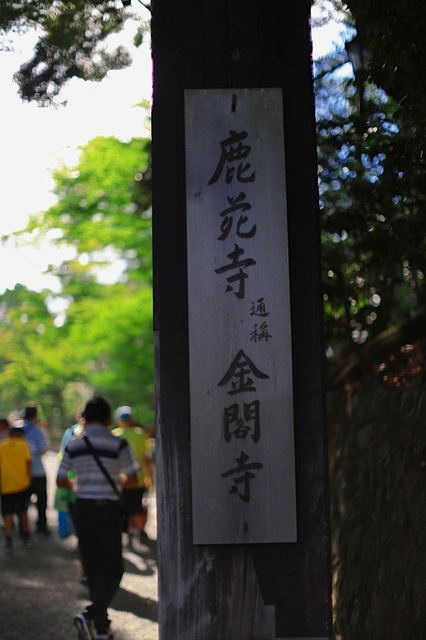 9S0A4228_1280x853_補正済.jpg