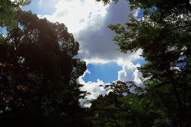 9S0A4230_1280x853_補正済.jpg