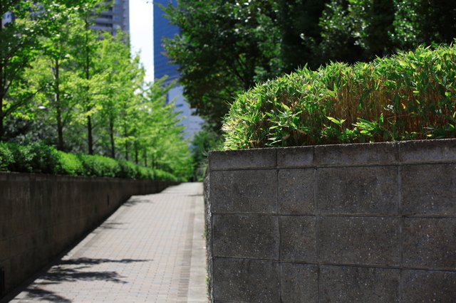9S0A4333_1280x853.jpg