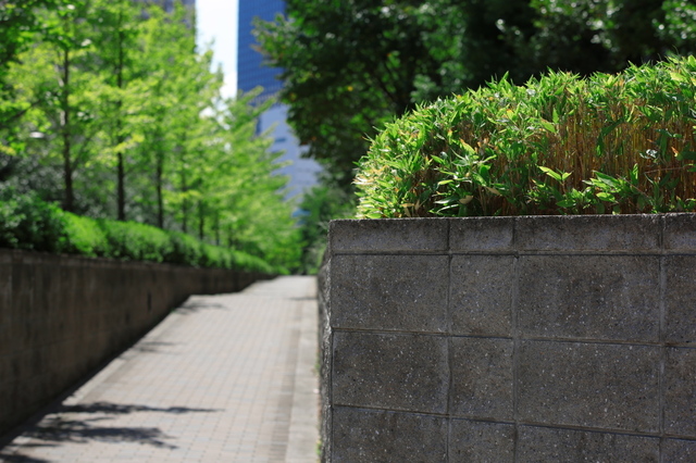 9S0A4334_1280x853.jpg