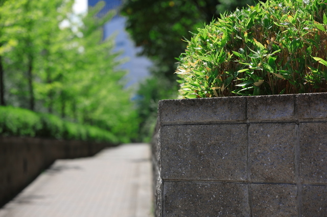 9S0A4335_1280x853.jpg