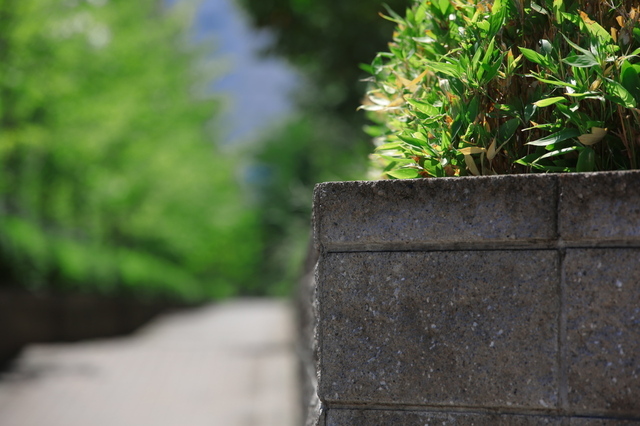 9S0A4336_1280x853.jpg