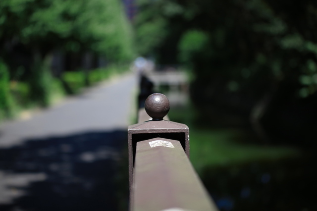 9S0A4344_1280x853.jpg