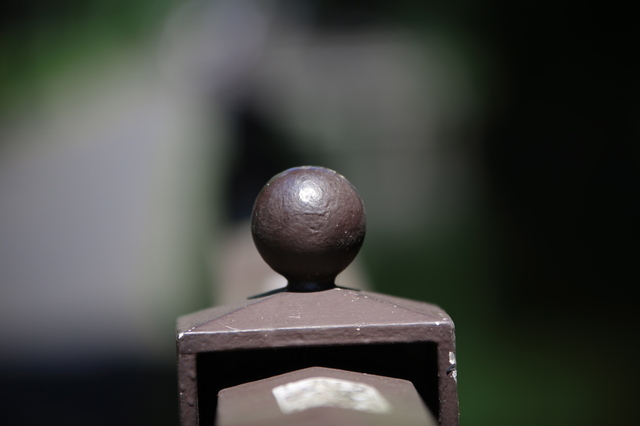 9S0A4345_1280x853.jpg