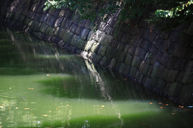 9S0A4346_1280x853.jpg