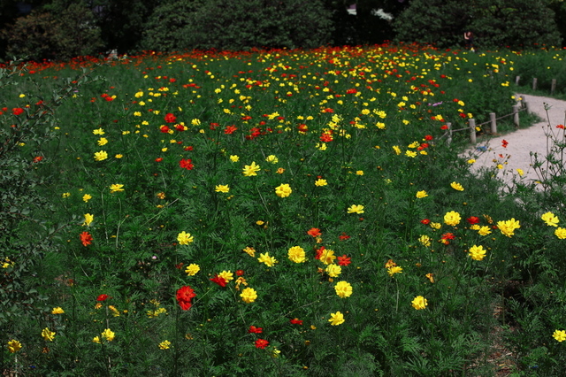 9S0A4377_1280x853.jpg