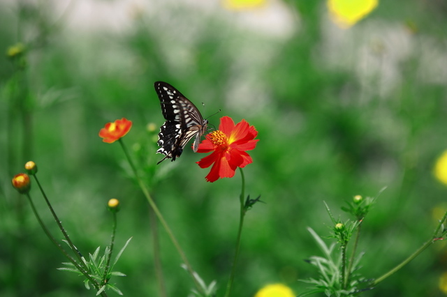 9S0A4392_1280x853.jpg