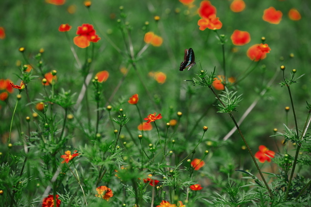 9S0A4395_1280x853.jpg