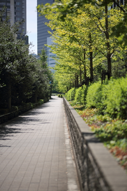 9S0A4663_1280x853.JPG