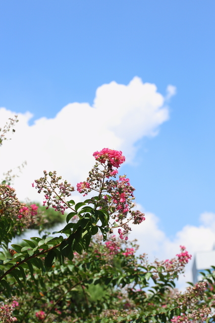 9S0A4695_1280x853.JPG