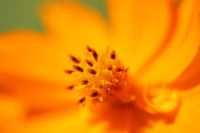 9S0A4730_1280x853.JPG