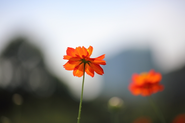 9S0A4779_1280x853.JPG