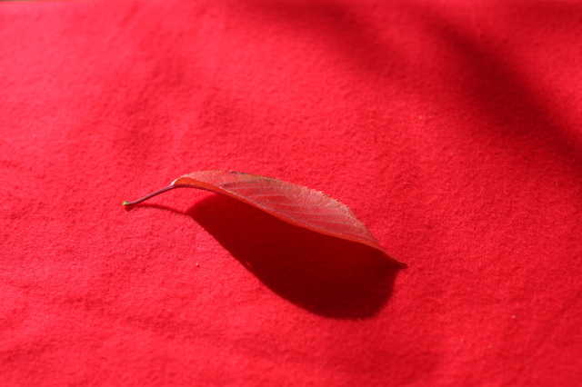 9S0A9546_2048x1365.jpg