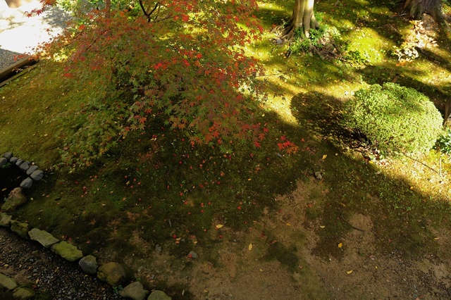 9S0A9717_2048x1365_補正済.jpg