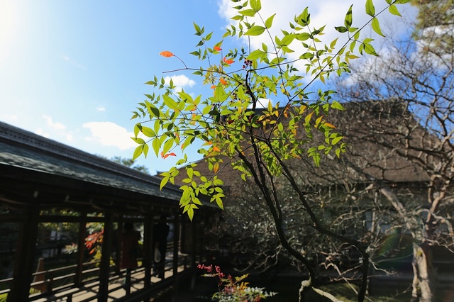 9S0A9721_2048x1365_補正済.jpg