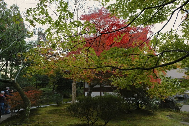 9S0A9931_2048x1365_補正済.jpg