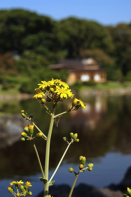 DSC00380_1280_補正済.jpg
