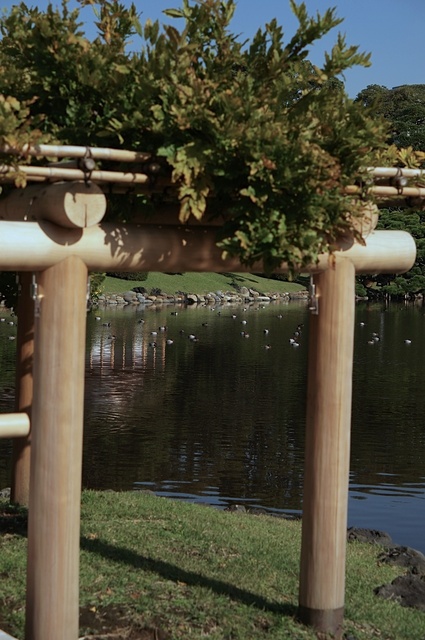 DSC00381_1280_補正済.jpg