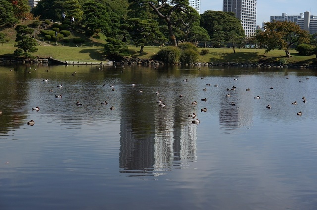 DSC00383_1280_補正済.jpg