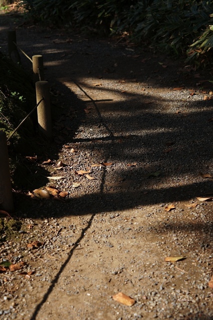 DSC00387_1280_補正済.jpg