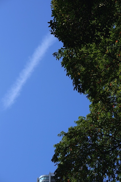 DSC00391_1280_補正済.jpg