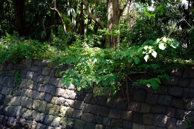 DSCF1528_1280x853.jpg
