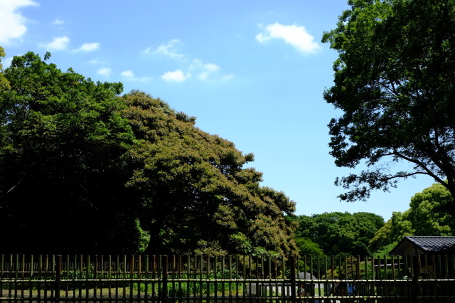 DSCF1531_1280x853.jpg