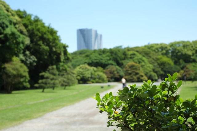 DSCF1541_1280x853.jpg