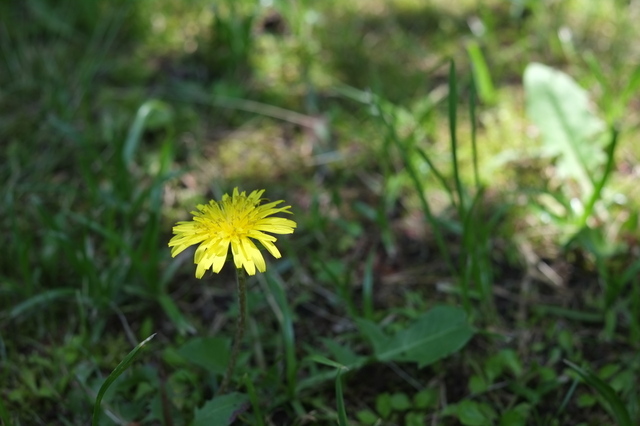 DSCF1545_1280x853.jpg
