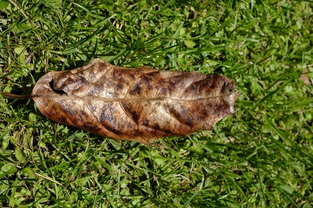 DSCF1566_1280x853.jpg